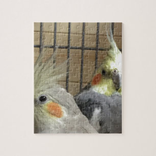 Cockatiels Legpuzzel