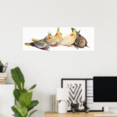 Cockatiels Poster (Thuiskantoor)