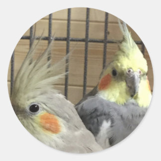 Cockatiels Ronde Sticker