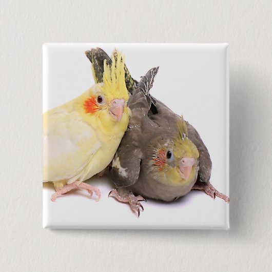 Cockatiels Vierkante Button 5,1 Cm (Voorkant)