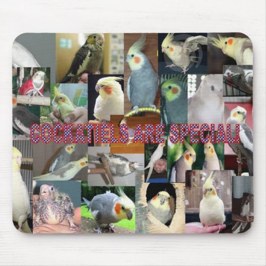 Cockatiels zijn speciaal muismat (Voorkant)