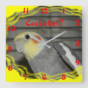 Cockatielwandklok Vierkante Klok