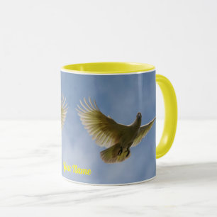 Cockato Bird Parrot Australia Yellow Photo Mok