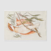 Cockato Bird Vogels  Antiek ontkoppeling Tissuepapier (Voorkant)