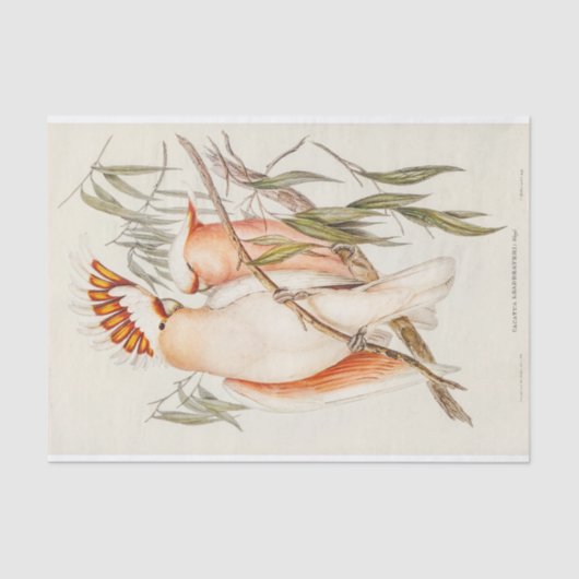 Cockato Bird Vogels  Antiek ontkoppeling Tissuepapier (Voorkant)