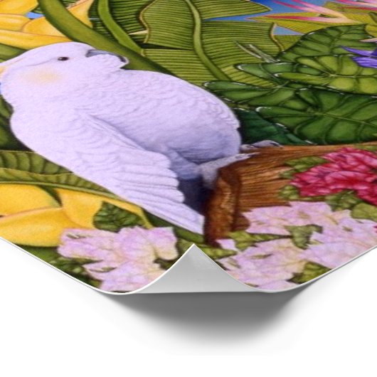 Cockato in Paradise Poster (Hoek)