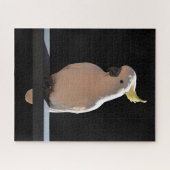 Cockato op Sundial Apartements Jigzaag Puzzle Legpuzzel (Horizontaal)