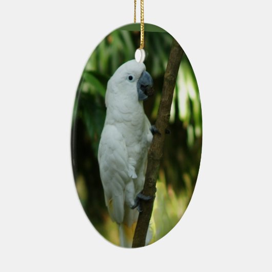 Cockato Ornament (Rechts)