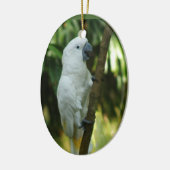 Cockato Ornament (Links)