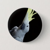 Cockato Parrot Ronde Button 5,7 Cm (Voorkant)