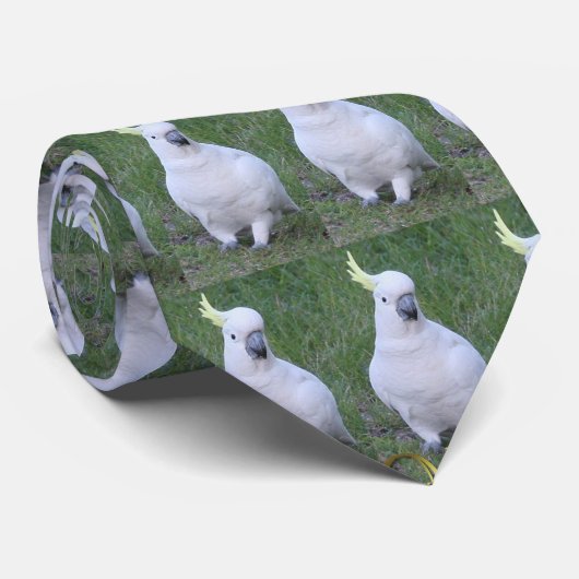 Cockato Stropdas (Opgerold)