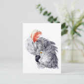 Cockatoenkopschilderij van Aert Schouma Briefkaart (Staand voorkant)