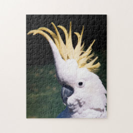 Cockatoenpuzzel met zwavelcreest legpuzzel