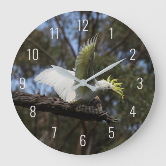 Cockatoo Bird Parrot Fly Wings Avian Australia Grote Klok (Voorkant)