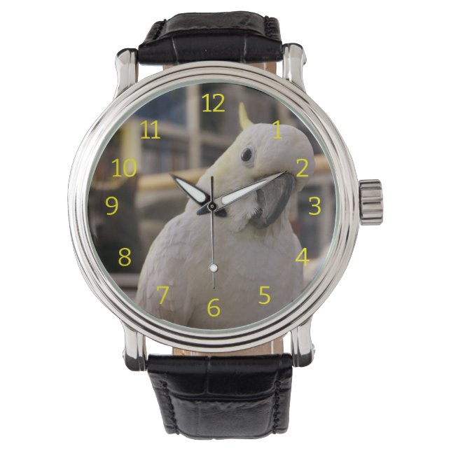 Cockatoo Horloge (Voorkant)