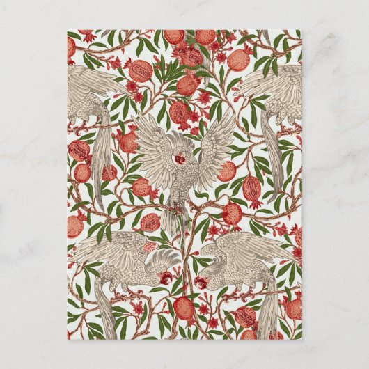 Cockatoo & Pomegranate by Walter Crane Art Nouveau Briefkaart (Voorkant)