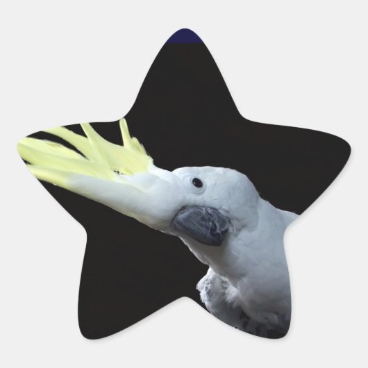 Cockatoo Ster Sticker (Voorkant)