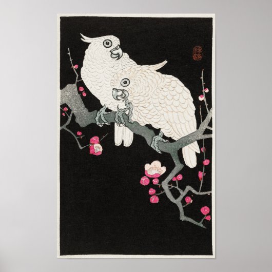 Cockatoos en pruimenbloesem van Ohara Koson Poster (Voorkant)