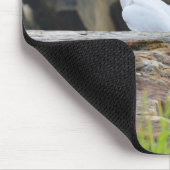 Cockatoos Muismat (Hoek)