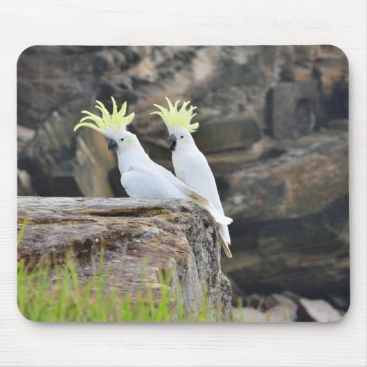 Cockatoos Muismat (Voorkant)