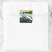 COCKATOO'S OP HET PLATTELAND VAN QUEENSLAND AUSTRA VIERKANTE STICKER (Tas)