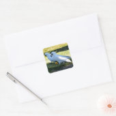 COCKATOO'S OP HET PLATTELAND VAN QUEENSLAND AUSTRA VIERKANTE STICKER (Envelop)