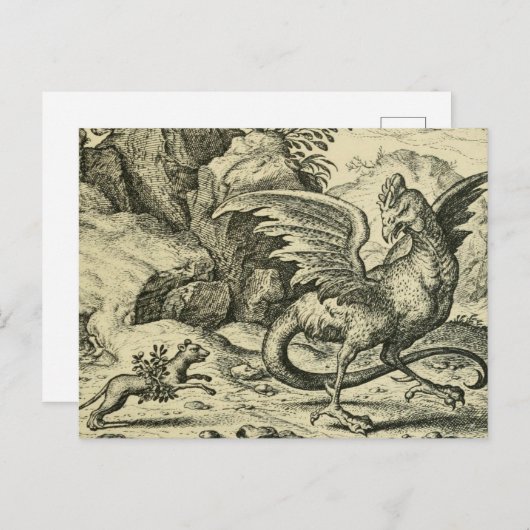 "Cockatrice vs. Weasel" Briefkaart (Voorkant / Achterkant)