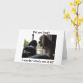 COCKER / HAVANEZEN ZEGGEN WELKE VERJAARDAG HET IS? KAART (Gele Bloem)