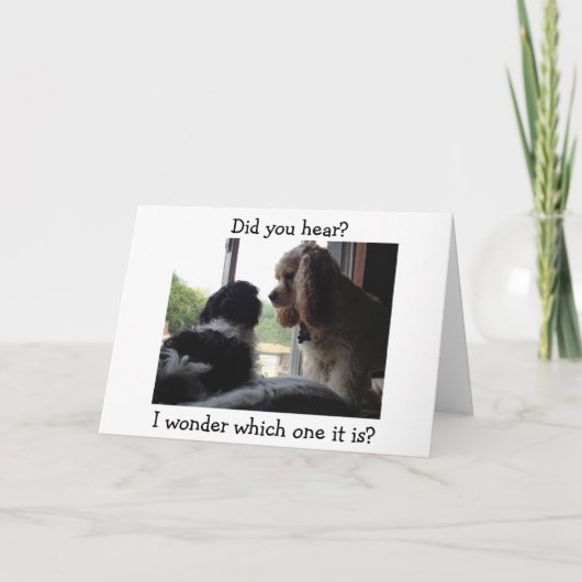 COCKER / HAVANEZEN ZEGGEN WELKE VERJAARDAG HET IS? KAART (Voorkant)