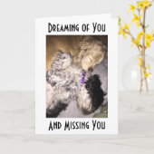 COCKER/HAVENESE KNUFFEL-MISS U OP UW VERJAARDAG KAART (Gele Bloem)