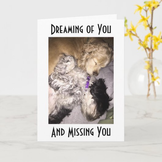 COCKER/HAVENESE KNUFFEL-MISS U OP UW VERJAARDAG KAART (Gele Bloem)