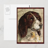 Cocker Spanial Dog Print Briefkaart (Voorkant / Achterkant)