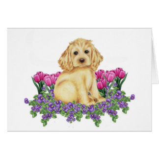 Cocker Spaniel