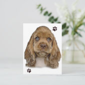 Cocker Spaniel ansichtkaart Briefkaart (Staand voorkant)