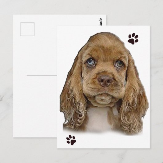 Cocker Spaniel ansichtkaart Briefkaart (Voorkant / Achterkant)