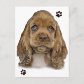 Cocker Spaniel ansichtkaart Briefkaart (Voorkant)