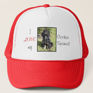Cocker Spaniel Ball Pet