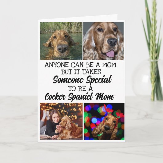 Cocker Spaniel ...Beste Moederdag Kaart van mama (Voorkant)