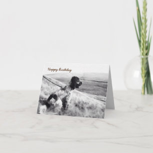 Cocker Spaniel Birthday Kaart