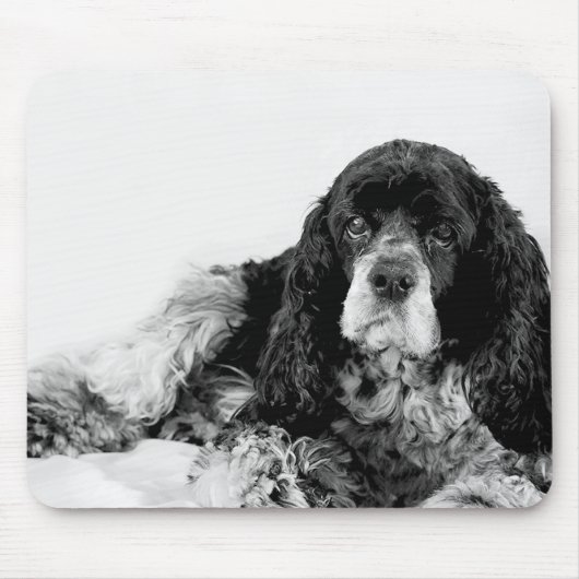 Cocker Spaniel Black en White Muismat (Voorkant)
