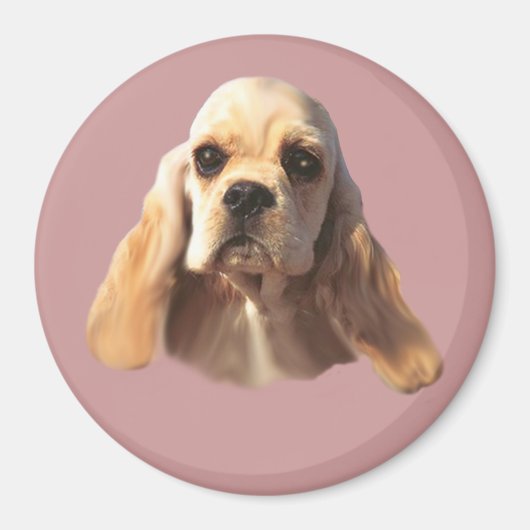 Cocker Spaniel Blondie Magnet (Voorkant)