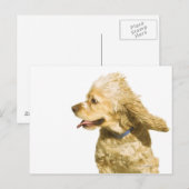 Cocker Spaniel Briefkaart (Voorkant / Achterkant)