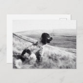Cocker Spaniel Briefkaart (Voorkant / Achterkant)