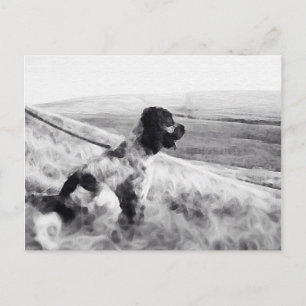 Cocker Spaniel Briefkaart