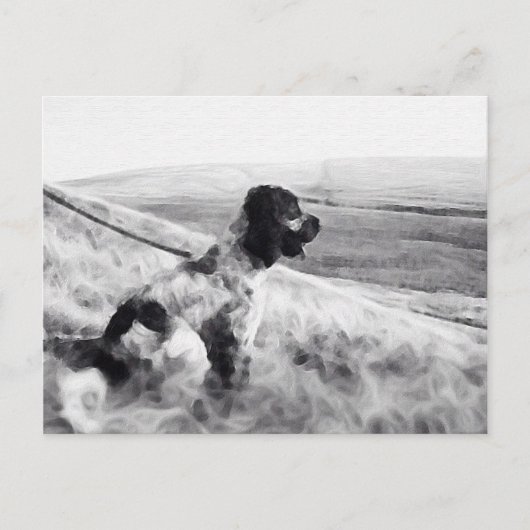 Cocker Spaniel Briefkaart (Voorkant)