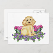 Cocker Spaniel Briefkaart (Voorkant / Achterkant)