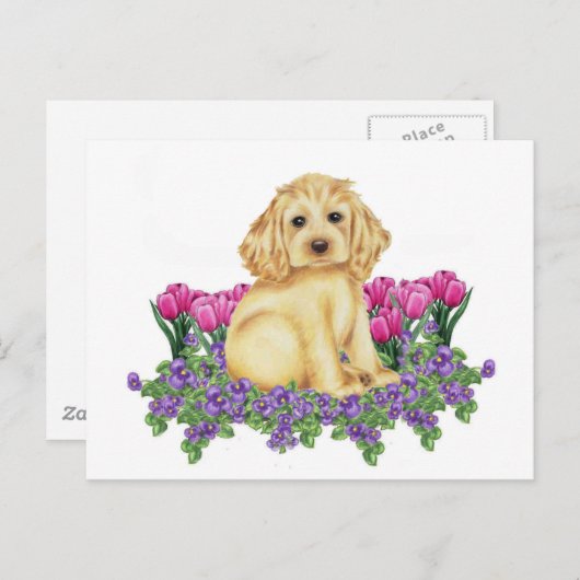 Cocker Spaniel Briefkaart (Voorkant / Achterkant)