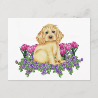 Cocker Spaniel Briefkaart