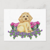 Cocker Spaniel Briefkaart (Voorkant)