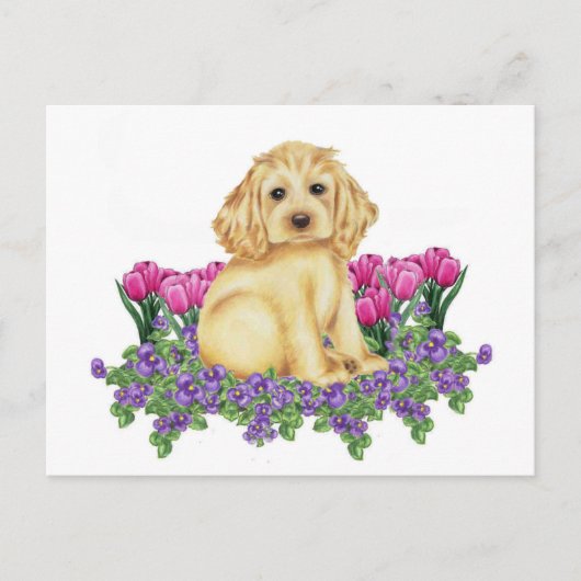 Cocker Spaniel Briefkaart (Voorkant)